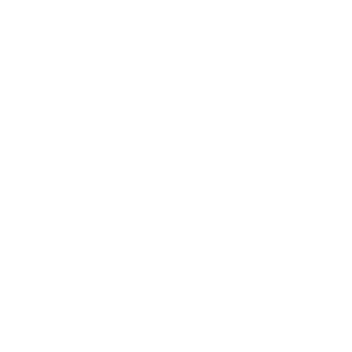 sun icon